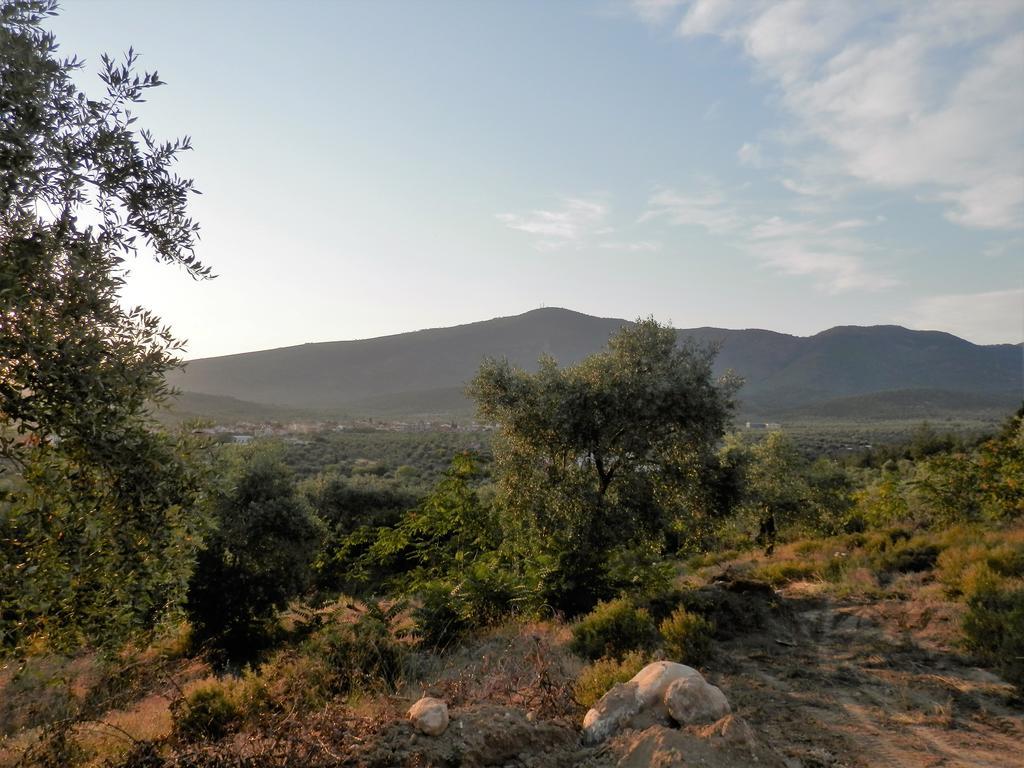 Thea Athos Διαμέρισμα Λιμενάρια Εξωτερικό φωτογραφία